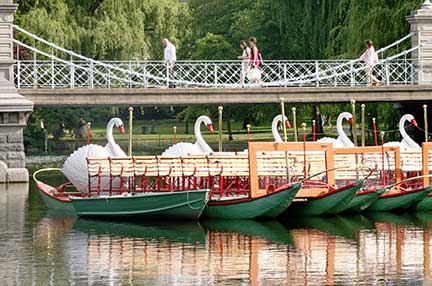 Public_Garden_Swan_Boats5_crop_web Public_Garden_Swan_Boats5_crop_web