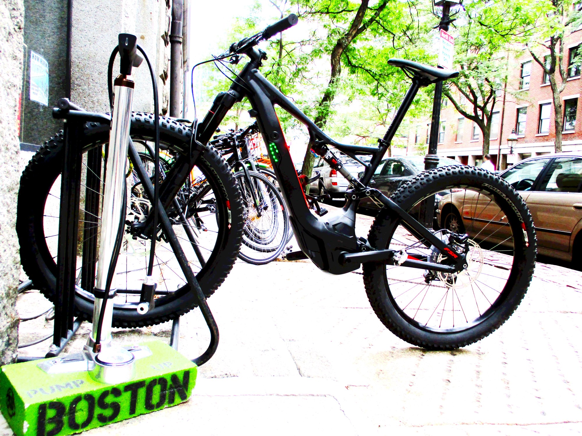 Specialized Specialized