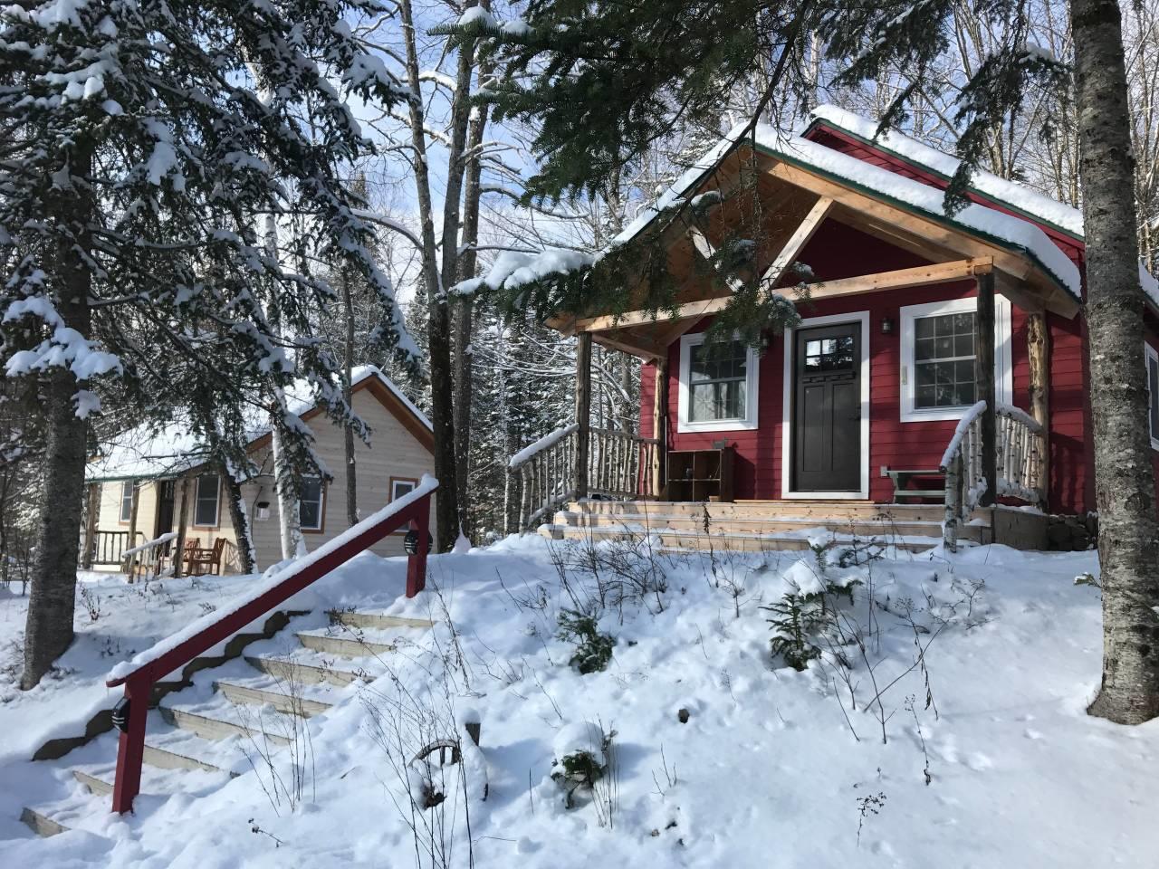 Wheels in the Woods Image 1