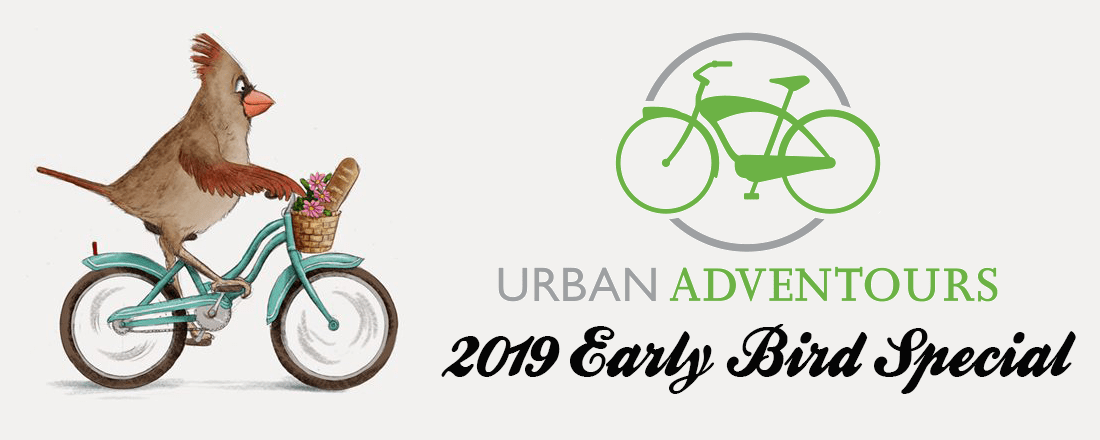 Early-Bird-2019 Early-Bird-2019