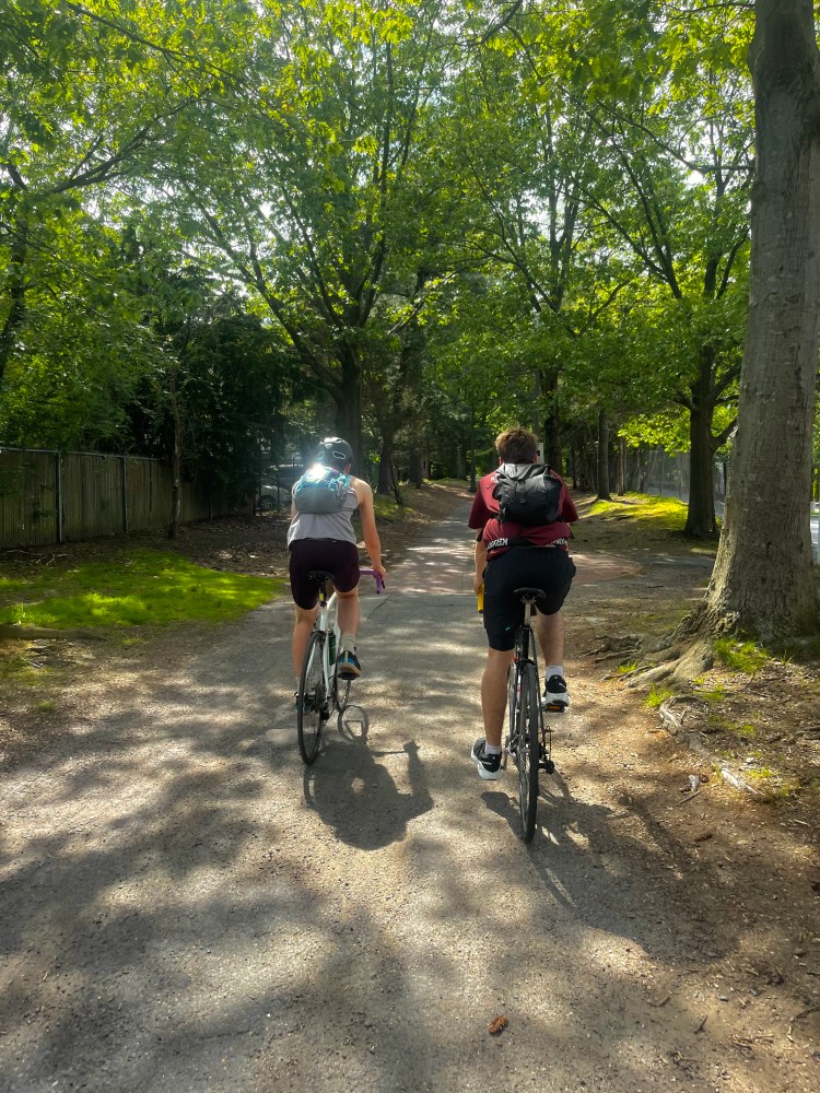 Two people biking on a tree-lined path on a sunny day.